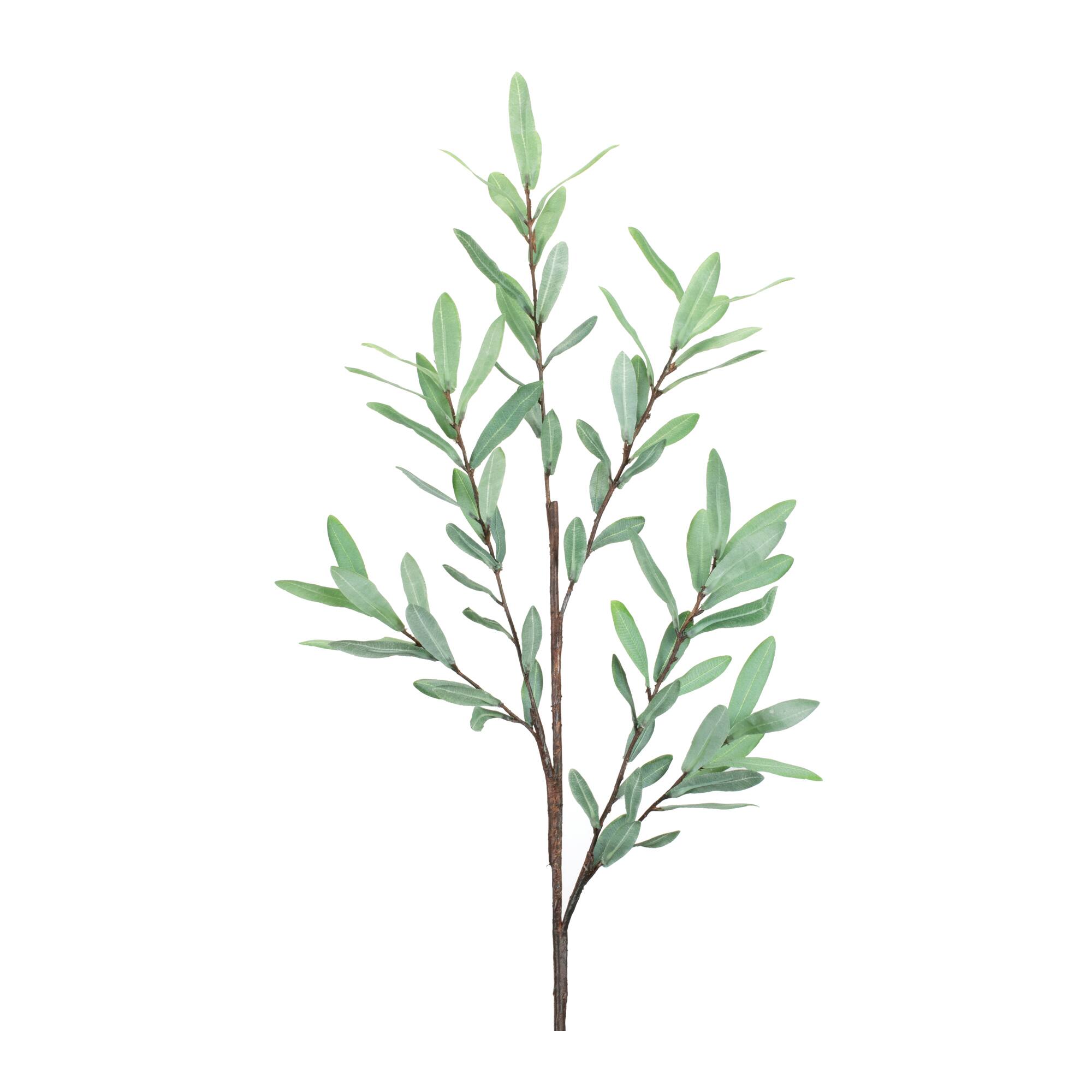 39" Olive Leaf Twig Branches, 2ct.
